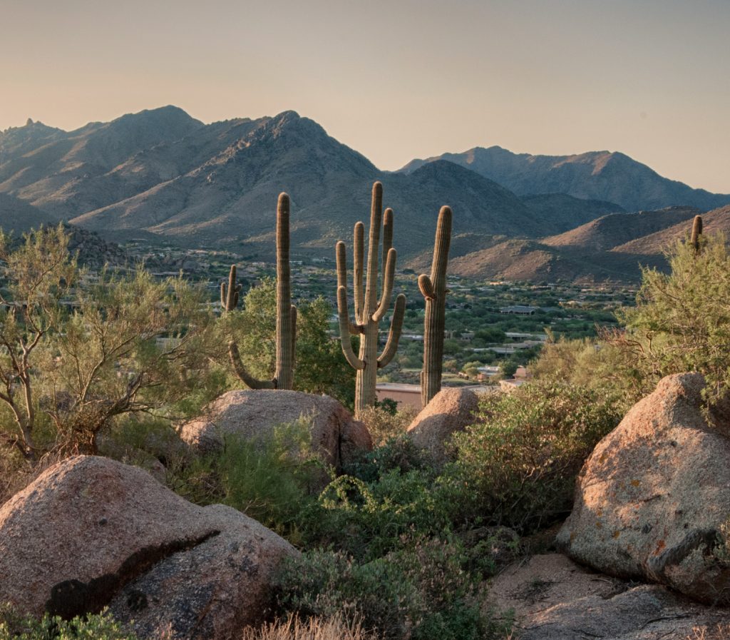 Salvage and Story Vintage Antique Found Goods Arizona